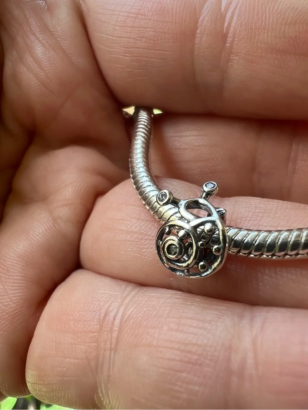 Snail 🐌 Charm